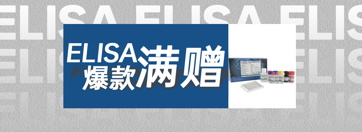 轮播图