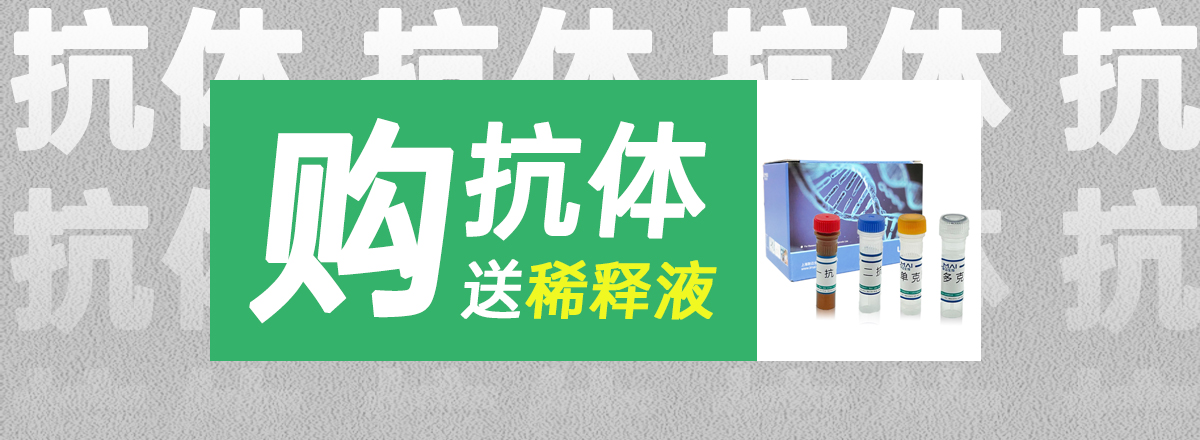 轮播图