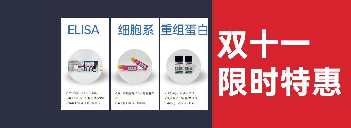 轮播图