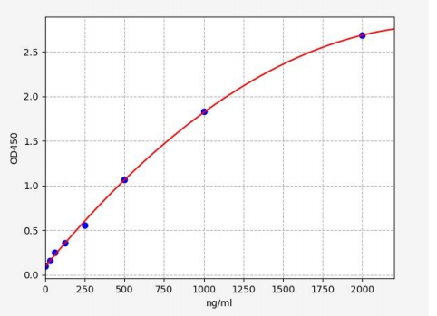 2022062512580247848