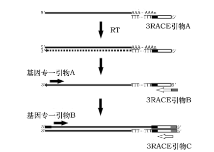 image 2024012203400220751