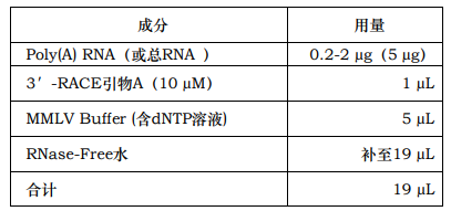 image 2024012203442415188