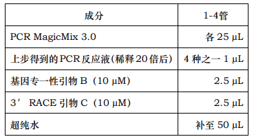 image 2024012203474718684